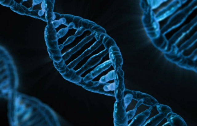 DNA double helices