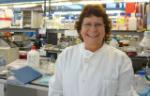 Professor Denise Sheer at the Blizard Institute