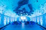 News article: Centre of the Cell reaches milestone of 200,000 participants