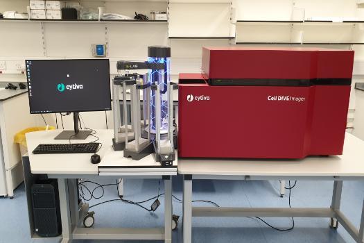 Multiplex Equipment