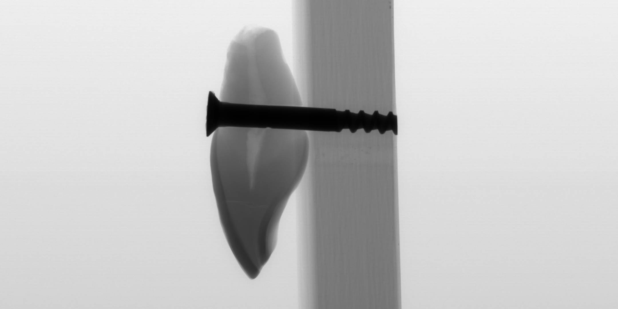 On the Art of Teeth 