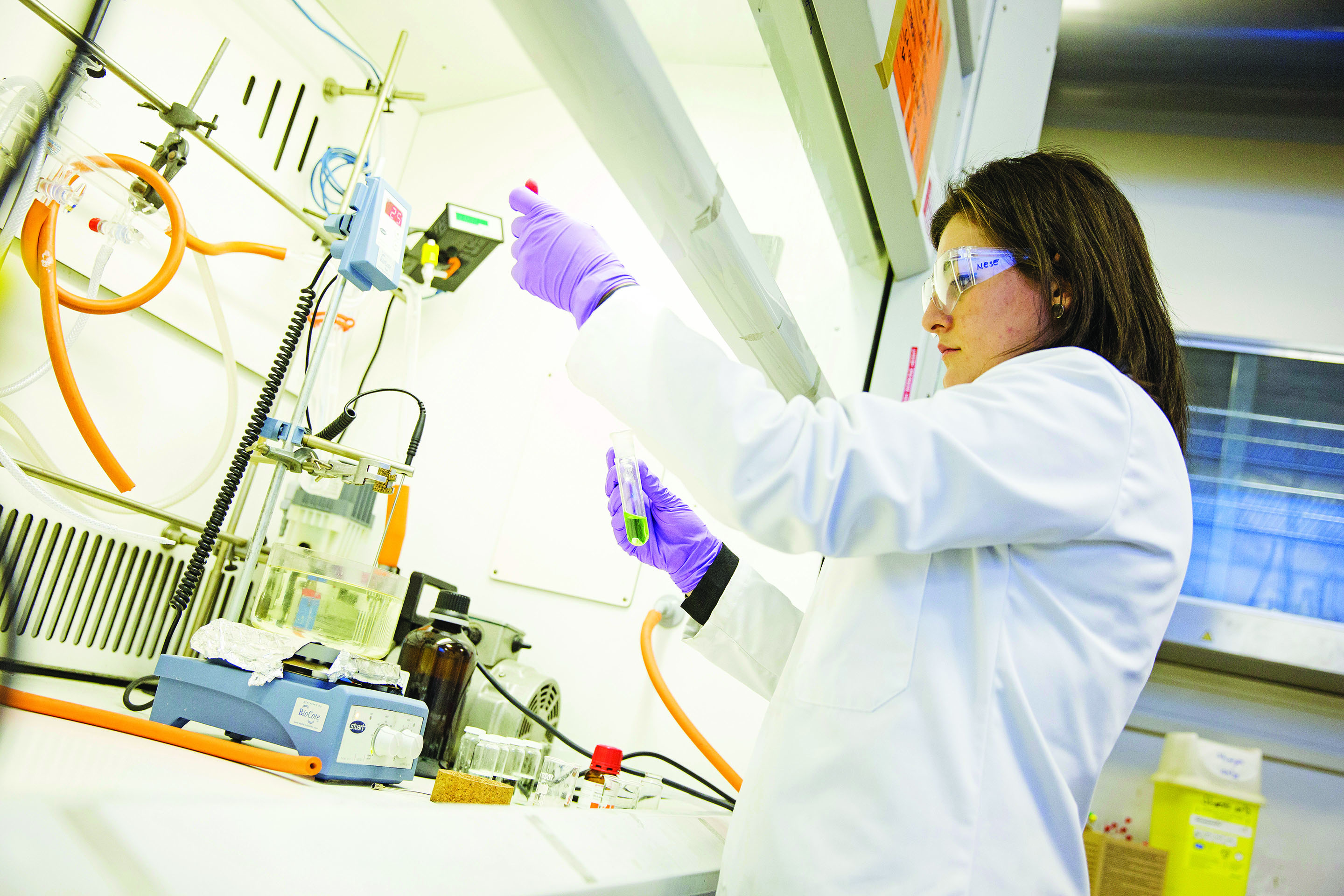 Oral Immunobiology and Regenerative Medicine