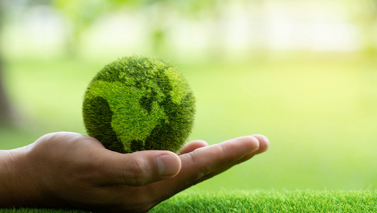 Sustainability week 2022
