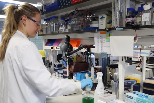 Cancer Sciences