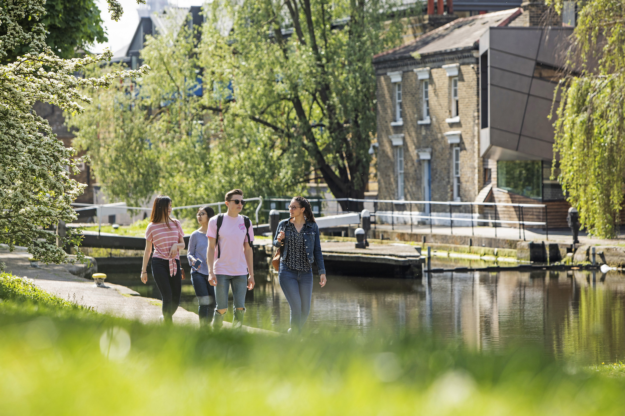 Undergraduate