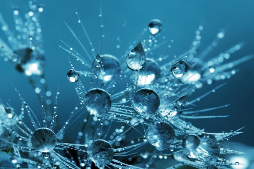 Water droplets