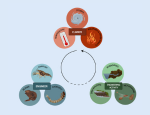 Climate and Freshwater Ecosystem infographic