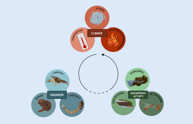 Climate and Freshwater Ecosystem infographic