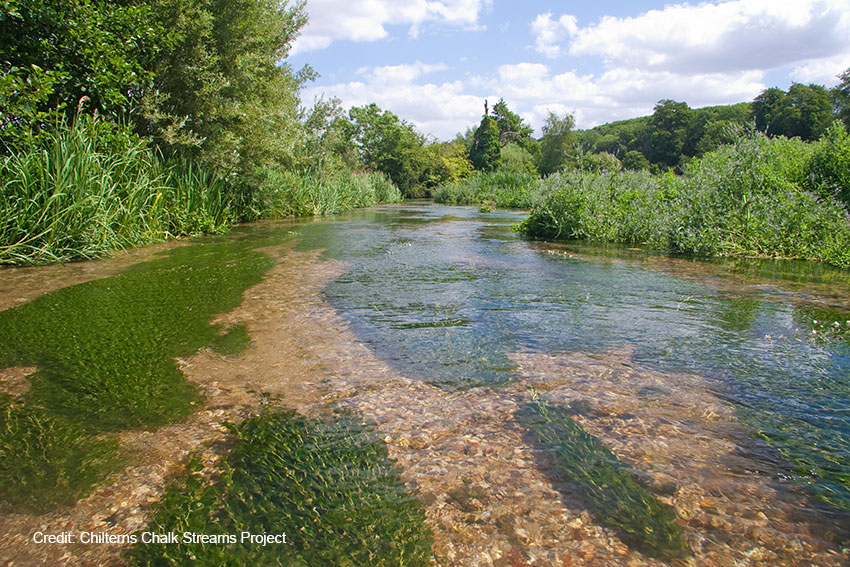 River Chess