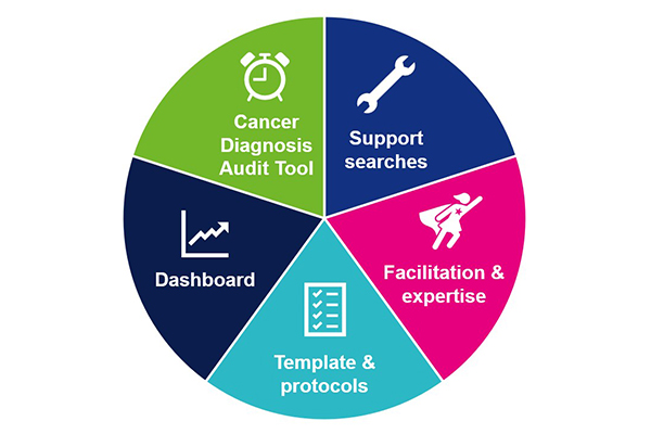 A circle graph showing five elements of the cancer toolkit