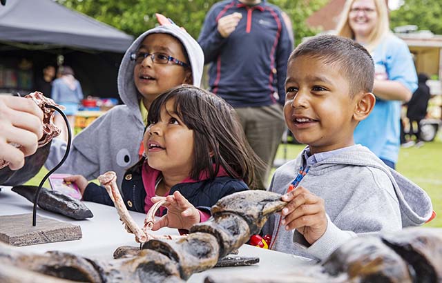 Festival of Communities