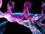 A polymer chain. Credit: iStock