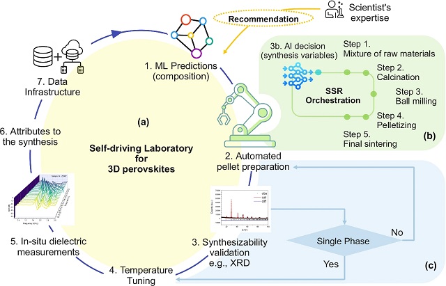 The workflow concept. Credit by: Omidvar, M., et al/Nat Commun 15, 6554 (2024)