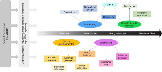 Graphic representation of the proposed neurodevelopmental spectrum alongside dimensions currently in transdiagnostic frameworks. Credit by: G. Michelini et al./World Psychiatry