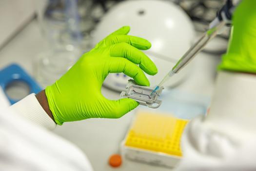 hands wearing gloves using biochip and pippette