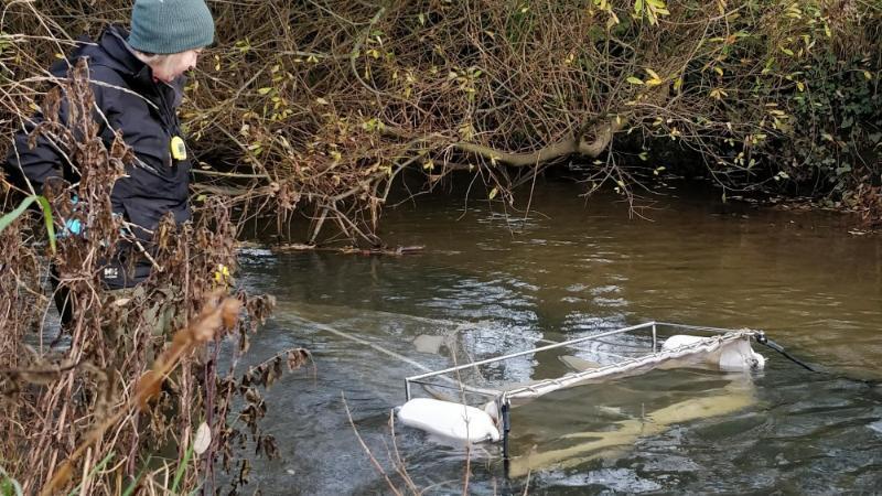 What&rsquo;s in the water? Measuring the impact of plastic pollution