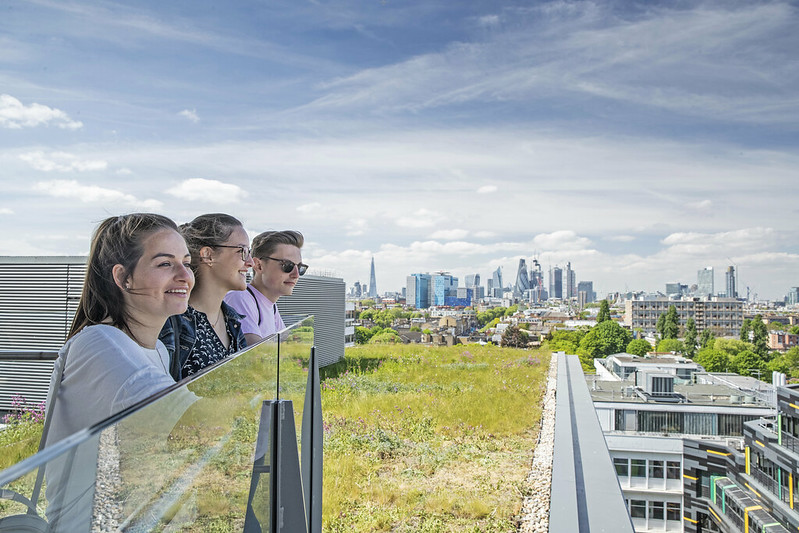Three students look out from a building