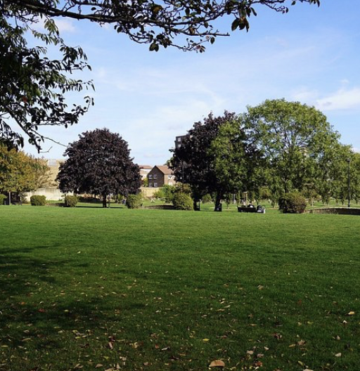 A photo of a park with green grass and trees.