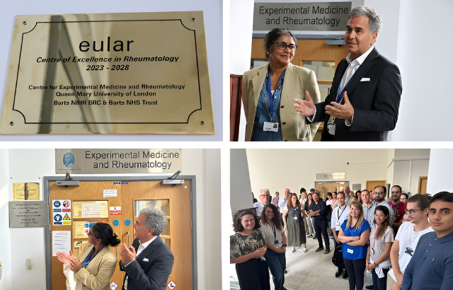 Experimental Medicine and Rheumatology awarded European Centre of Excellence status