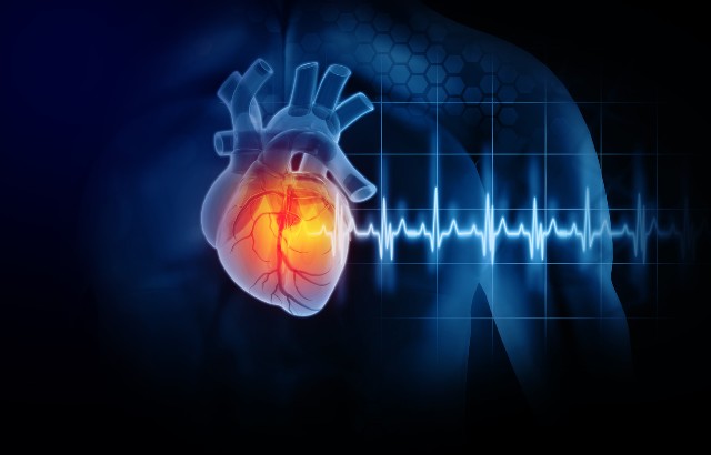 Heart