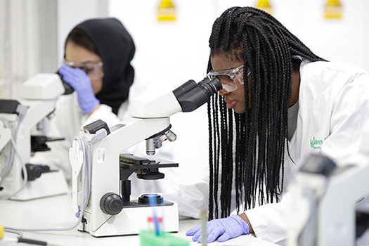 BSc Pharmacology and Innovative Therapeutics 